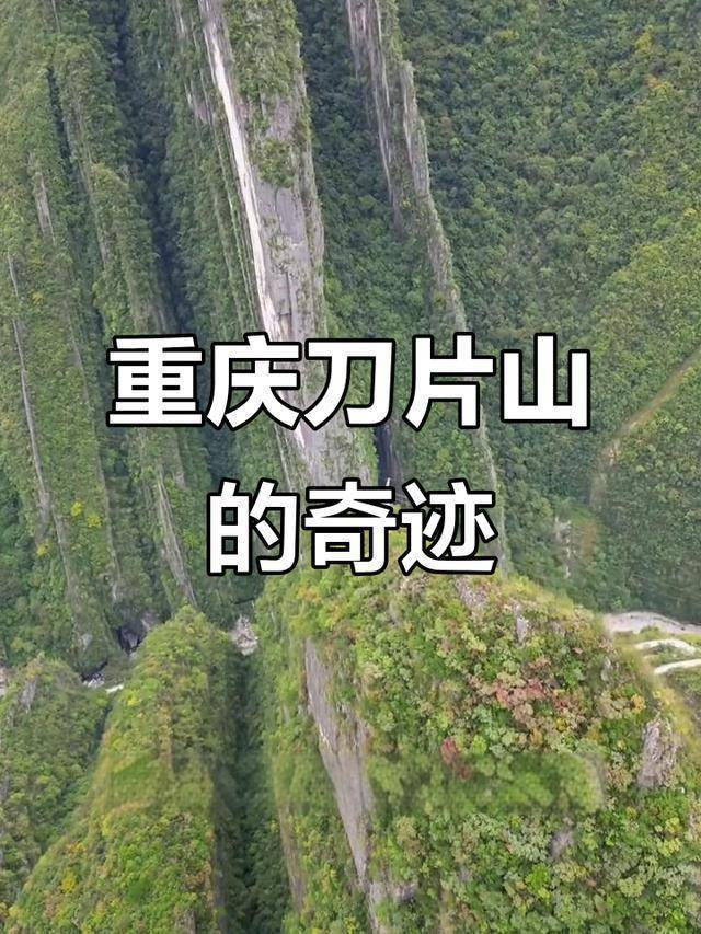 男子疑玩手機(jī)墜崖 事后發(fā)文福大命大 山神眷顧奇跡生還