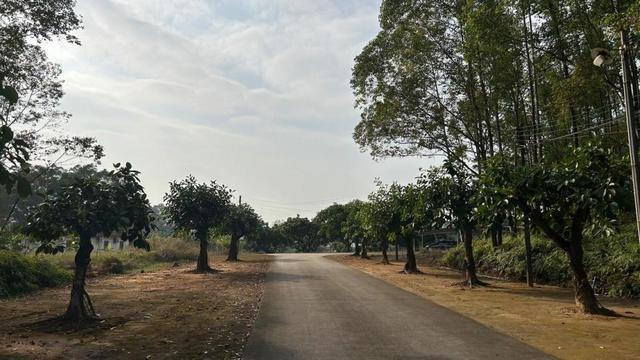 实验猴价格暴涨 供应短缺引关注