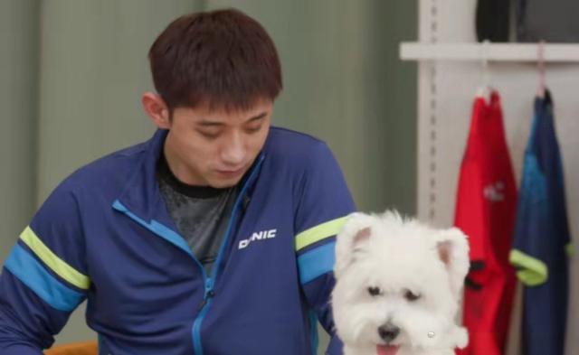 張繼科說(shuō)樊振東的球拍要回收 揭秘器材閉環(huán)管理