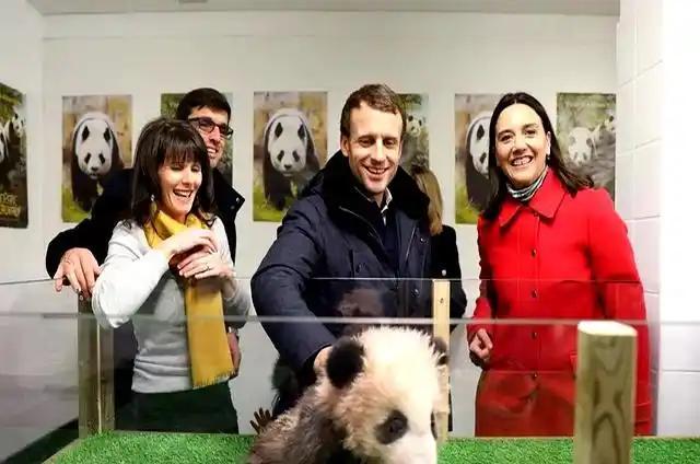 馬克龍?jiān)L華為什么鐘情成都 戰(zhàn)略布局新高地