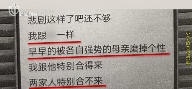 女儿产后抑郁自杀女婿隐瞒墓址4年 法院调解终得祭奠权