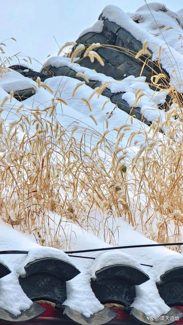 被北京雪地里的祝福戳到了 故宮雪景成冬日頂流