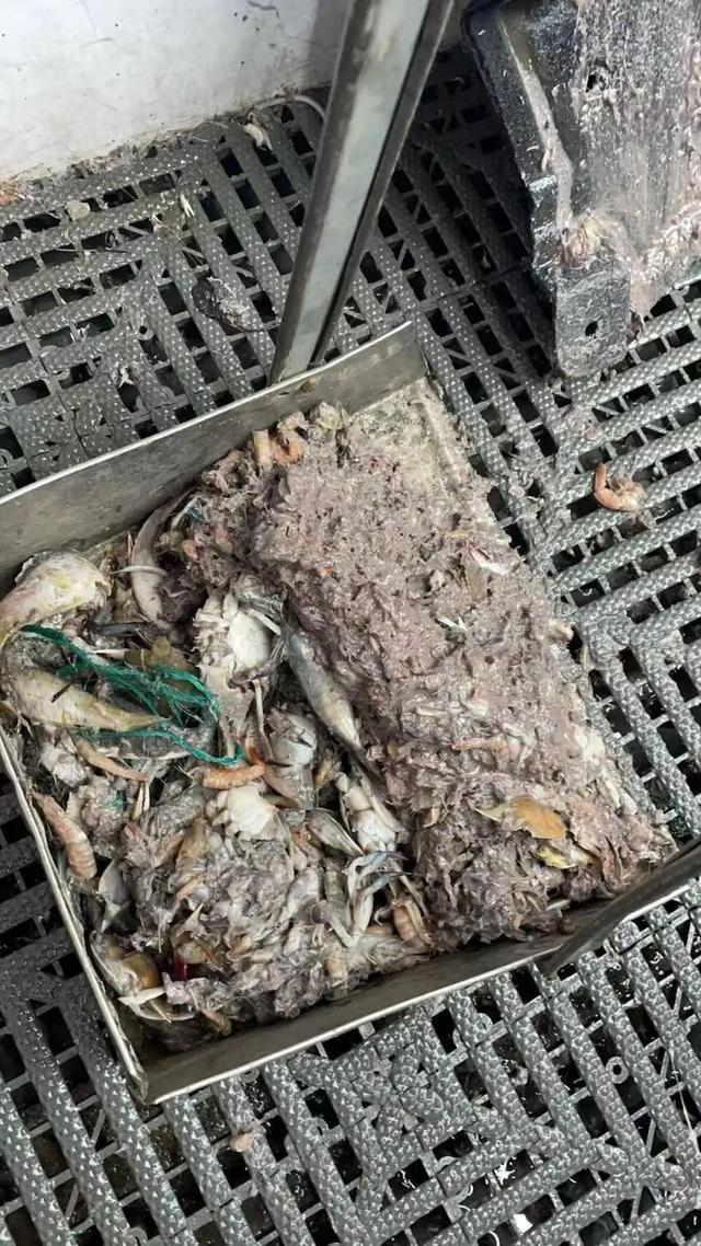 40余车辆遭高速海鲜废料“臭袭” 车主维权陷困境