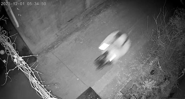 小偷趁新婚夜盗走97000元礼金 警方迅速破案挽回损失