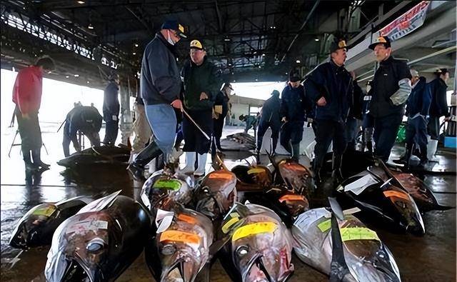 评论员：日本若拥核将把东亚拖入深渊 撕裂亚洲和平网