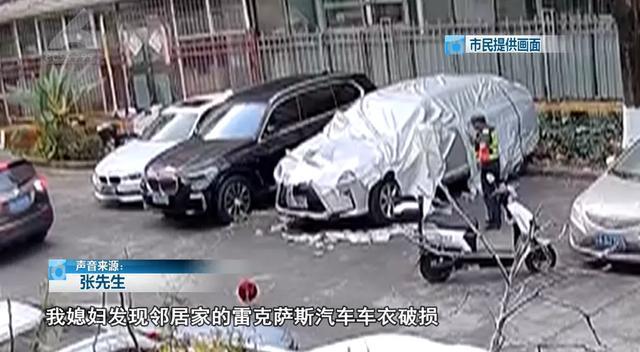 流浪狗“组团”在停车场撕咬车衣 汪汪队集体搞破坏
