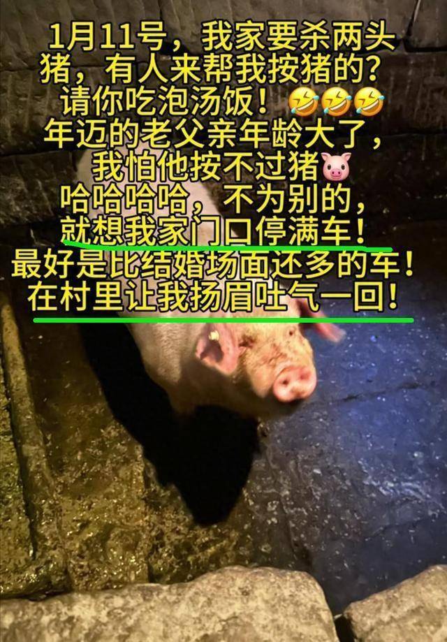 江西杀猪宴跟风呆呆翻车