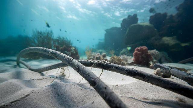 美国对格陵兰岛执念背后的地缘博弈 霸权焦虑下的北极争夺