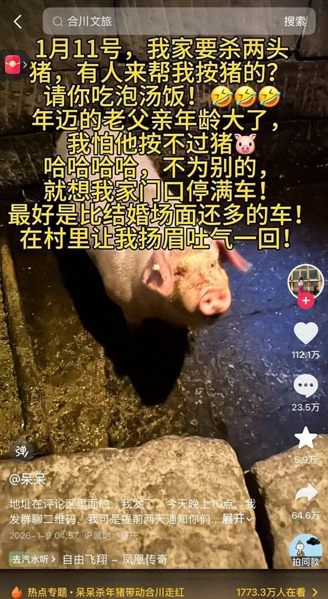 多地刨猪宴为何被紧急叫停