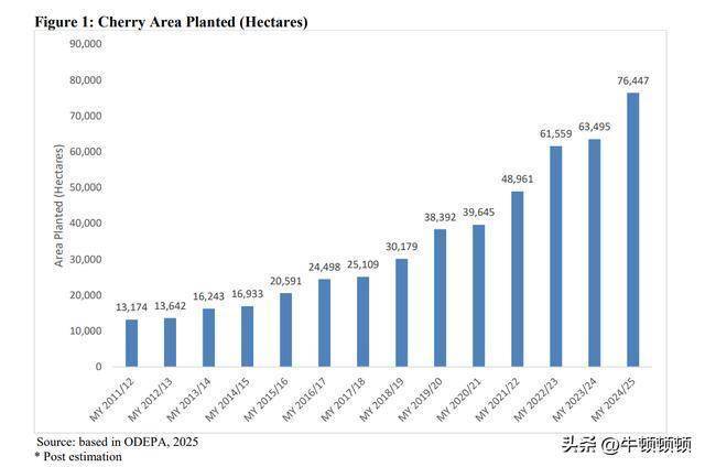 中产标配的“贵族水果”，一夜之间价格崩盘 降价未提振销量