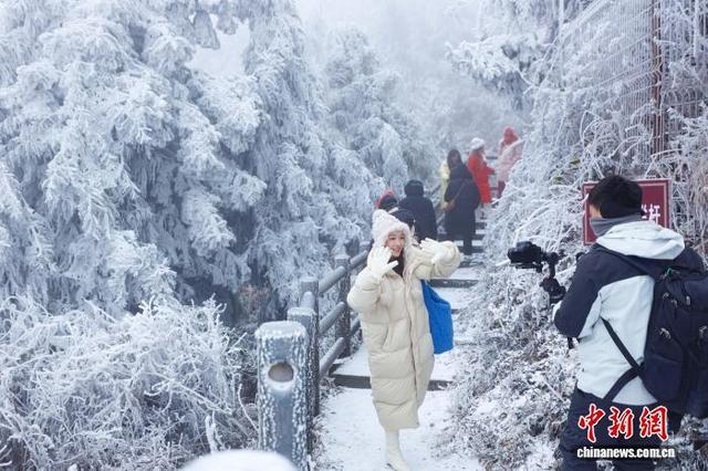 广西桂林资源县雾凇漫山如画 冬日奇景吸引游客