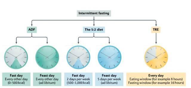 “饿死肿瘤”的方法真的找到了吗 短期禁食增强疗效