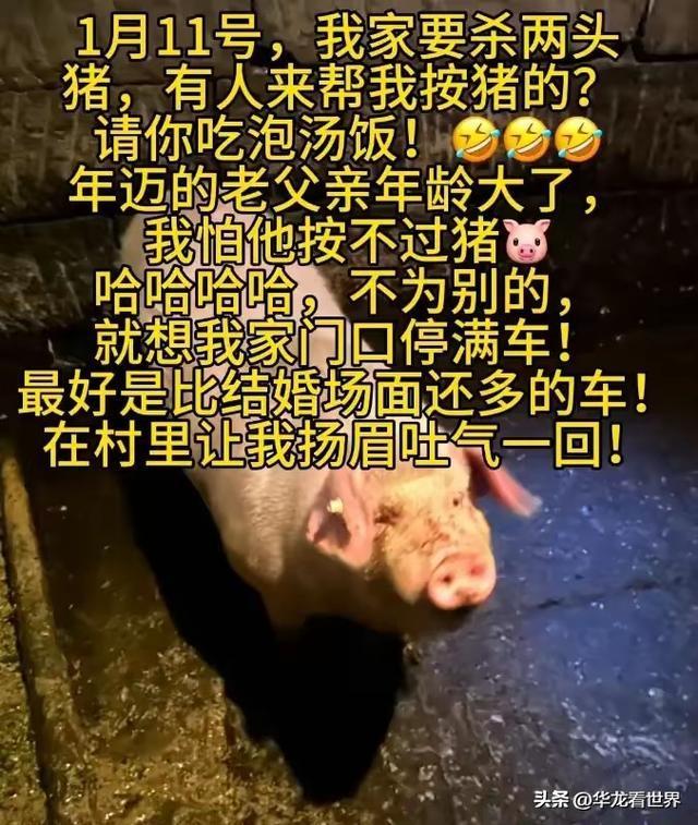 刨猪宴后呆呆又送春联了 直播感谢粉丝支持