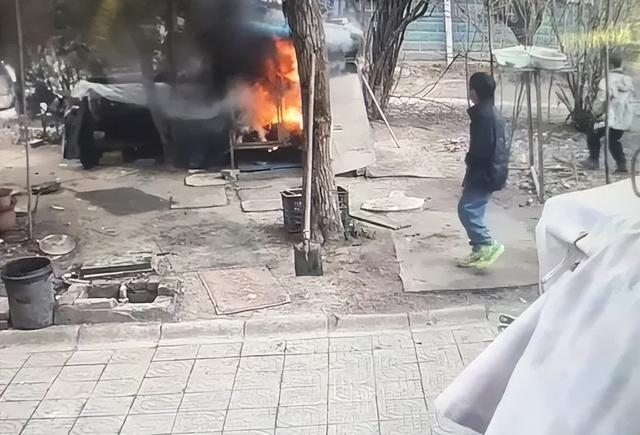 律师解读两小孩玩烟花致小狗被烧死 宠物悲剧引发热议