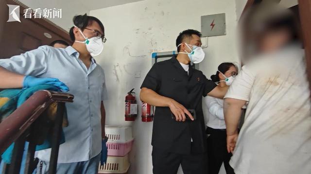 女子租房养18只猫恶臭扰民 爱心之举引发邻里纠纷