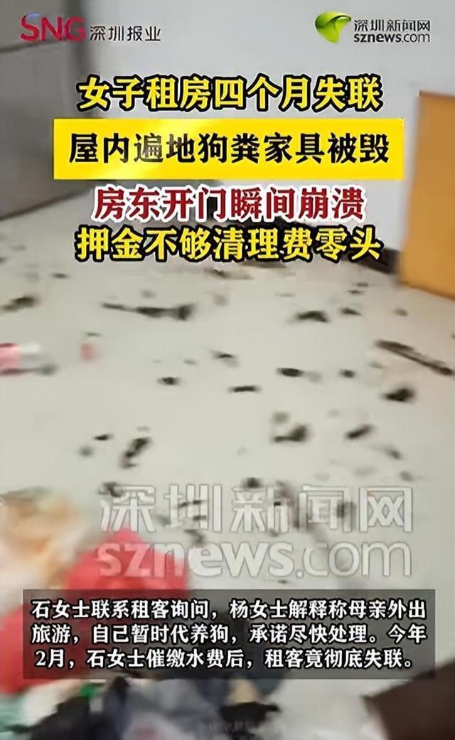 房屋被严重损坏女租户失联 房东：整体损失预估在2万元以上，准备起诉