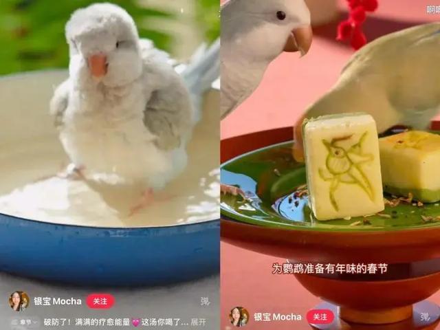 女孩们捧红“鸟鸟教” 催熟百亿市场 她经济引领变革