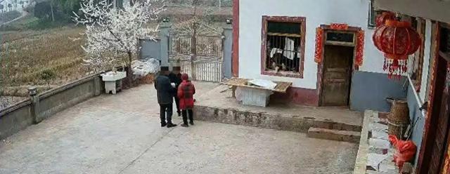 儿子查监控撞见父母被2男子诈骗