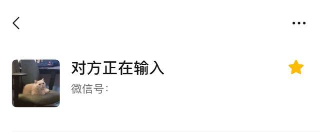 微信反复出现对方正在输入 代表啥