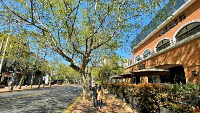 “别人的春和景明 我的氯雷他定”