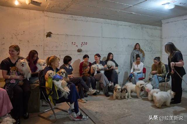 油价一度逼近120美元