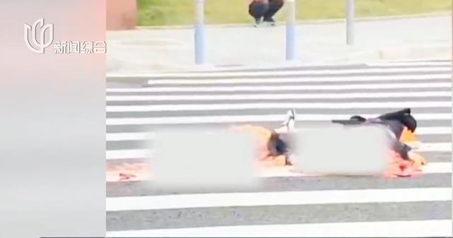 三人遭遇车祸肇事公司却减资 悲剧家庭维权路添变数