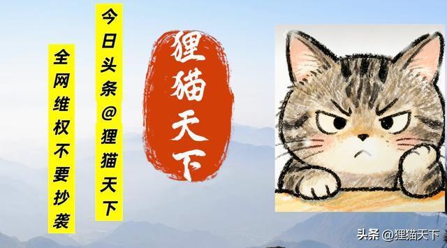 高市早苗对马克龙施展龟派气功 投其所好引发关注