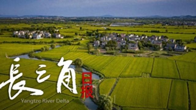 清明假期哪最火