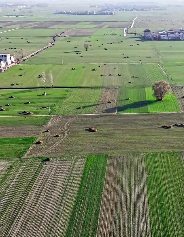 广西人扫墓堪比特种兵训练 艰苦溢价的祭祖之路