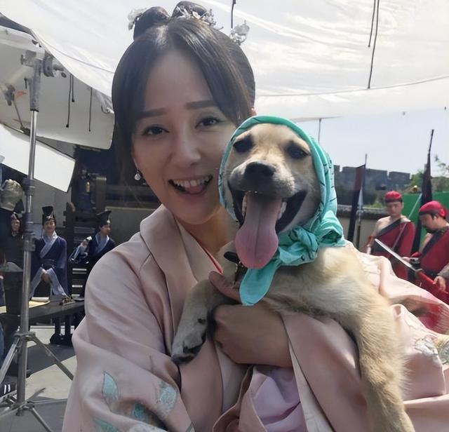 媒体：霍思燕再破天花板 转型牵犬师闪耀国际赛场