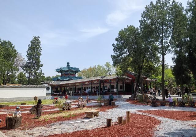 父母应该和孩子争输赢吗