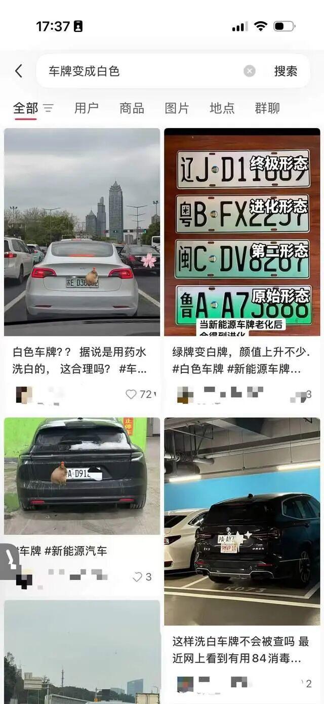 绿牌改白底黑字造孽 车主追求个性反成造孽