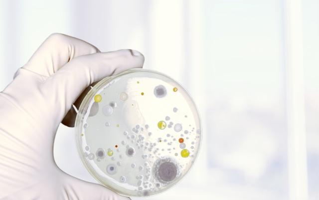 看完你还敢咬指甲吗 不良习惯需警惕