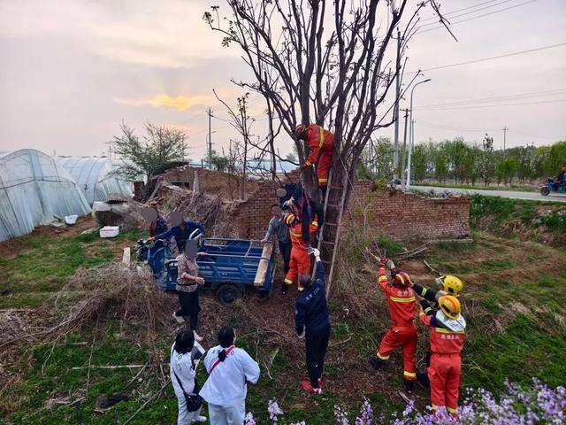 男子爬树被卡倒挂7个多小时 消防紧急救援