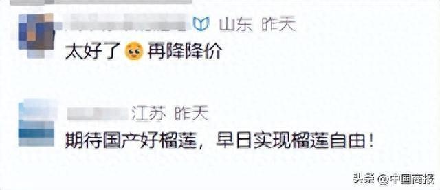 榴莲能降到9块9吗