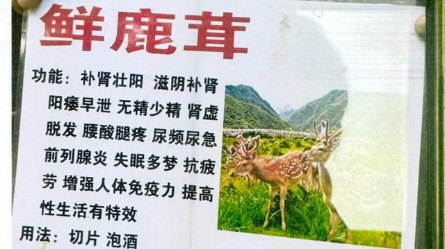 团伙街头“指马为鹿”专骗老人