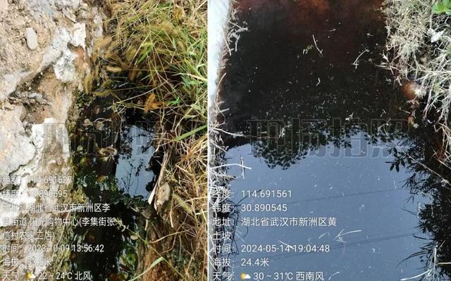不足600人村庄62人患癌或白血病，村民：我老婆和儿媳都得了白血病 环境污染疑云笼罩