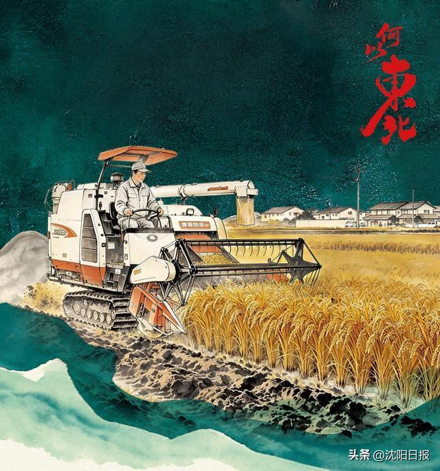 全国每四碗饭就有一碗来自东北黑土地 稳稳托起国家的饭碗