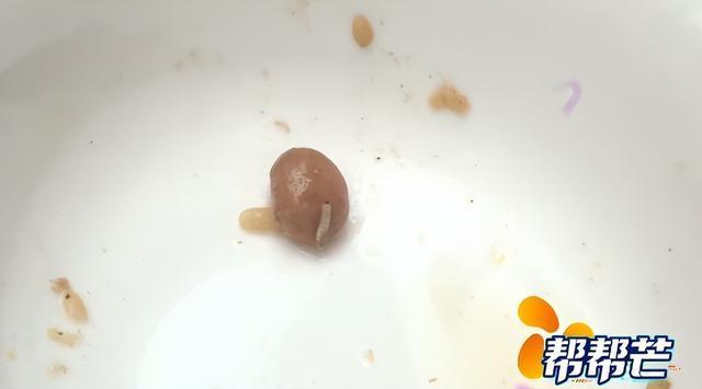 女子投訴元祖粽子吃出蟲子 母女遭遇食品安全噩夢