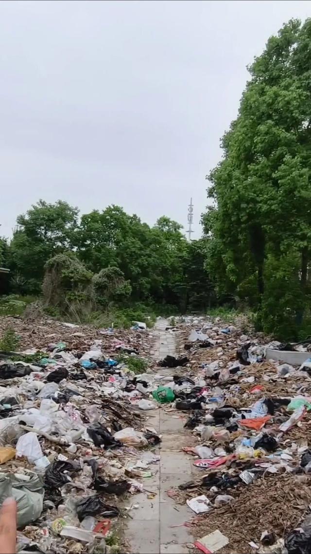 当地回应公园垃圾遍地 正协调清运加强巡查