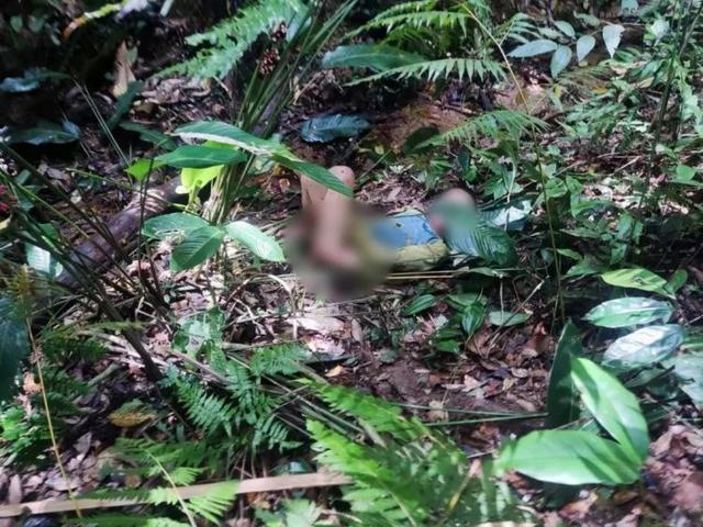 11岁男童失联13天后获救细节披露 千人接力搜救成功