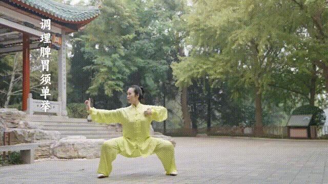 跟練八段錦認(rèn)準(zhǔn)官方教材 告別瞎練，科學(xué)養(yǎng)生