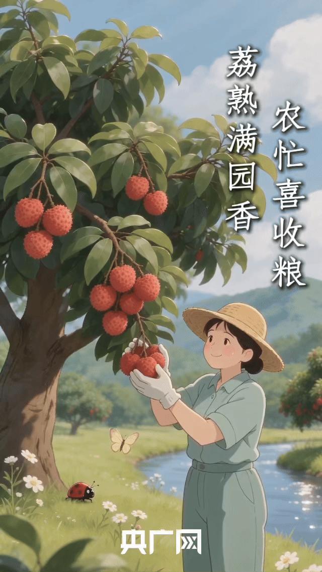 人间盛夏至 农耕皆可期