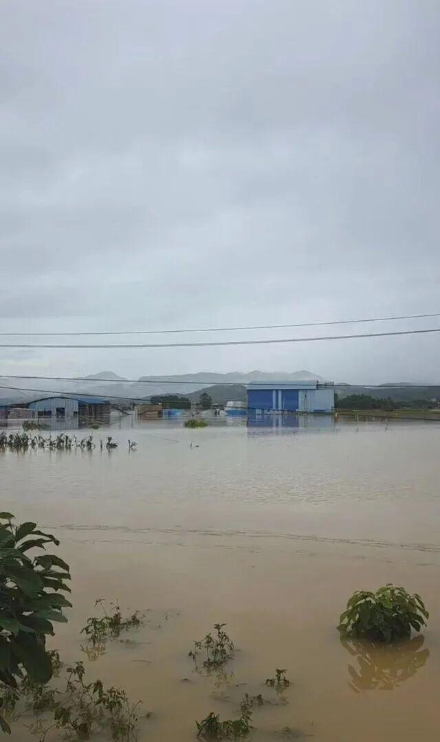 广西洪水现状