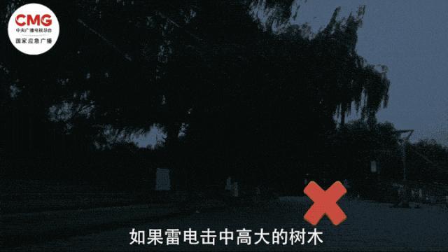 雷暴天气避险指南 科学应对强对流