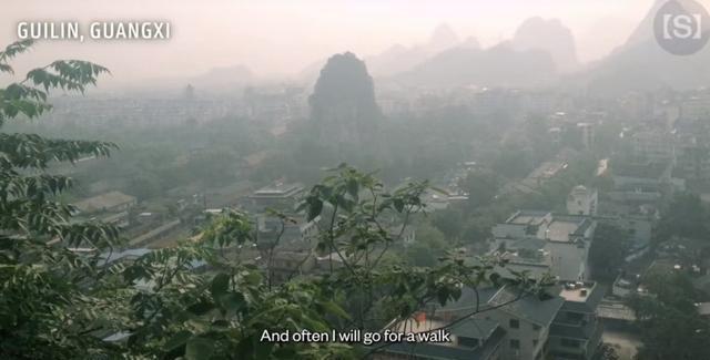 王虹戴卡地亚且衣品好 打破学者刻板印象