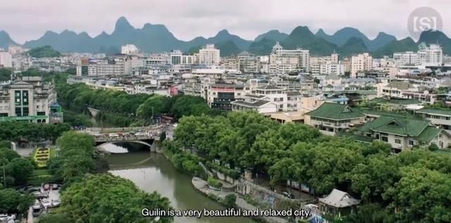 王虹戴卡地亚且衣品好 打破学者刻板印象
