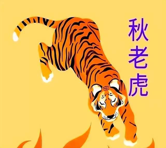 今年立秋3事须准备，有3个坏消息、3个好消息 六十年不遇的特别之处