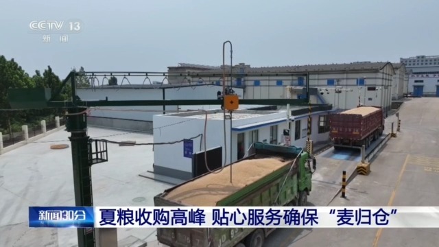 各地全方位保障“麦归仓”