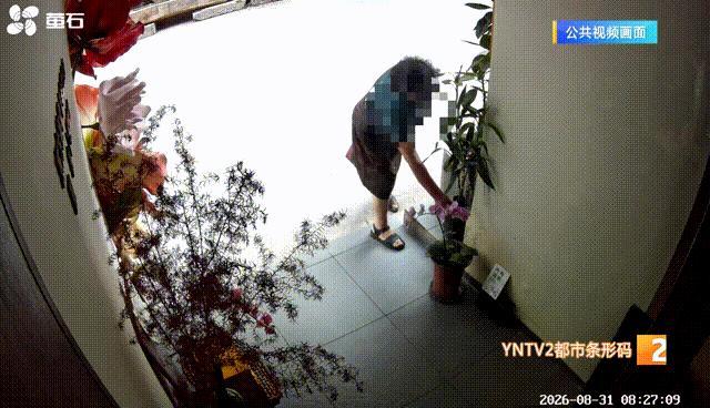 3次被偷兰花 店主气得手绘肖像警告 嚣张行径惹怒店主